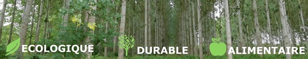 Vous trouverez sur ce site des emballages pratiques , légers en bois de peuplier pour vos fruits et légumes , vos fromages ... Vous trouverez sur ce site des emballages pratiques , légers en bois de peuplier pour vos fruits et légumes , vos fromages ...